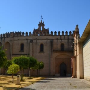 Visita guiada Monasterio San Isidoro del Campo